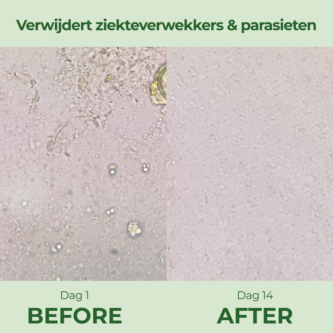 Yaluna - Detoxpaket