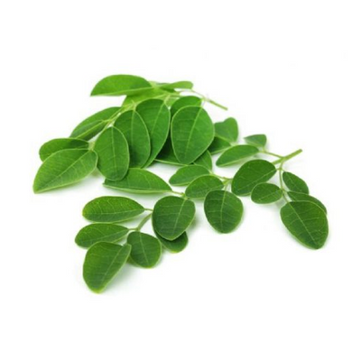 Moringa