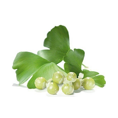 Ginkgo Biloba-extract